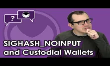 Bitcoin Q&A: SIGHASH_NOINPUT and custodial wallets