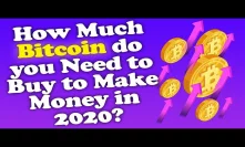 How Much Bitcoin do you Need to Buy to Make Money in 2020?