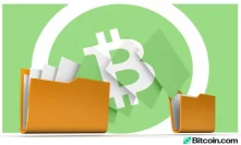 Bitcoin Cash-Powered File Storage Concept Sparks Interest and Debate