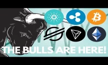 Bull Run Begins as Bitcoin Halving Approaches, Altcoin Season Imminent! Consensus 2019 - Crypto News