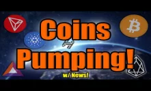Bitcoin DUMPS! But MAJOR COIN NEWS as Altcoins Race Past Bitcoin Ahead of Halving! BE READY!