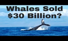 Early Bitcoin Whales Sold $30 BILLION to Speculators?