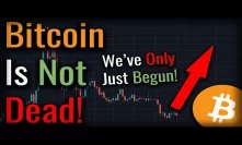If You Think Bitcoin Is Dead - Watch This Video!