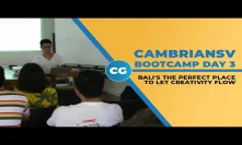 CambrianSV Bootcamp Day 3: Betting on Bali - and Bitcoin
