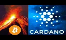 Cardano Bullrun Super Possible At The Time of Upcoming Bitcoin halving