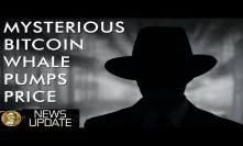 Bitcoin Prices News Explained - $100,000,000 BTC Purchase By Mystery Whale - Who Was It?