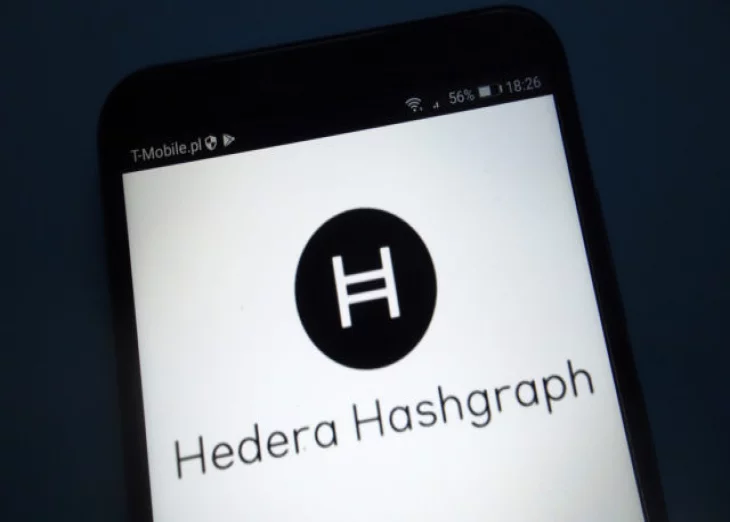 Hedera Hashgraph Nodes Shut Down Without Warning, HBAR Dumping Continues