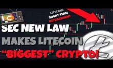 SEC's New Law Will Make Litecoin & Bitcoin The Biggest Crypto's