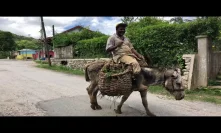 Man ride donkey in Jamaica
