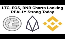 LTC, EOS, BNB Charts Looking REALLY Strong Today