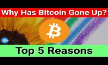 Top 5 Reasons Why Has Bitcoin Gone Up
