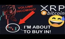 IMPORTANT: XRP/RIPPLE & BITCOIN HODLERS MUST SEE THIS NEXT MOVE | THINGS ARE ABOUT TO GET CRAZY!