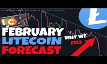 MUST WATCH: February Litecoin Forecast - Litecoin's Pullback Was OBVIOUS (Here's Why)