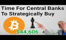 Central Banks Buying Bitcoin + Yellow Vest French Bank Run