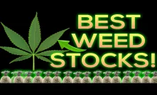 Best Marijuana Stocks To Invest In 2020
