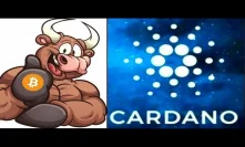 Cardano Bullrun Coming As Bitcoin Has Opened the Door Soon Blockchain will be Everything!
