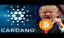 We Could See $1 Cardano ADA Sooner Than Expected With Current Bullish Bitcoin View
