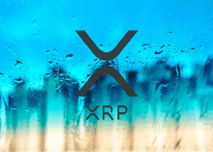 Ripple’s XRP Dominates the Market: Joseph Lubin Ethereum Co-Founder…