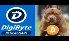 DGB Bullrun DigiByte A Top 9 cryptocurrency Bitcoin Evolving Beyond Expectations