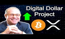 DIGITAL DOLLAR PROJECT New Members - Coin metrics $6M Funding -Cardano Upgrade - XRP Scams
