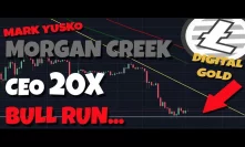 Ex-JPMorgan Exec. Bitcoin IS Digital Gold - Morgan Creek CEO 20x Bitcoin Bull Run IS Possible.