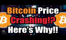 The Bitcoin (BTC) Price is Crashing -- HERE'S WHY?! [Cryptocurrency News]