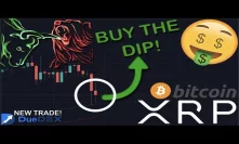 IMPORTANT: XRP/RIPPLE & BITCOIN HODLERS | I BOUGHT THE DIP!!! | NO ONE IS SEEING THIS