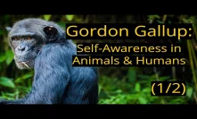 Gordon Gallup | Self-Awareness in Animals & Humans (Part 1/2)