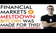 Financial Markets Price Meltdown [2020] - Bitcoin Was Made For This - Nugget's News Interview