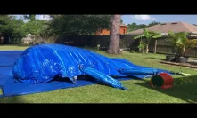 Deliver the blue 19 feet tall waterslide