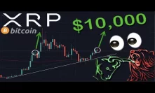 DONT BLINK! XRP/RIPPLE & BITCOIN WILL SEE A MASSIVE RALLY RIGHT AFTER THIS | GET READY