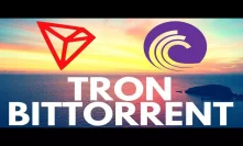 Bittorrent Token and Tron - Everything you need to know about BTT and TRX