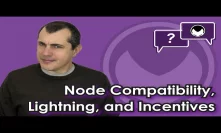 Bitcoin Q&A: Node compatibility, Lightning, and incentives