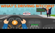 What is Driving Bitcoin Price? BET on BTC To $100,000 by 2020 - Crypto News