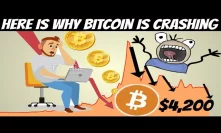 Bitcoin Crashes Under $5,000 | Here is The Real Reason Why (Price Crash Reveled)