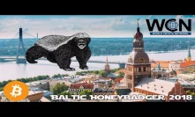 Interview with Adam Back from Blockstream - Baltic Honeybadger 2018 Conference