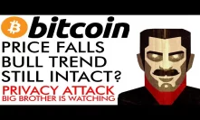 Bitcoin Price Falls- Bull Trend Still Intact? MASSIVE Privacy Attack