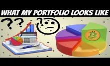 What Does My Cryptocurrency Portfolio Look Like ??  (Revealed)