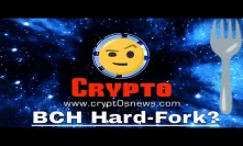 ???? Bitcoin Cash Hard-Fork Possible | BTC Shorts Near ATH | Crypt0 Forums | More! (August 21st, 2018)