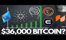 $36,000 Bitcoin, BTC Halving, ADA & ETH updates, TOMO on Ledger Nano, Enjin - Crypto News