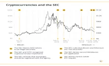 Bull or Bear? How SEC Actions Correlate With Market Prices