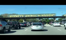 Discovery Island at Disney Animal Kingdom