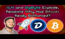 XLM & DigiByte TAKE OFF | Bitcoin Holding | Crypto Bottom HAS BEEN HIT says Silbert