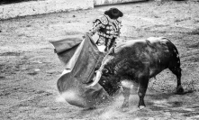 Cardano [ADA] rides the bull with other altcoins; bear loses control over the market