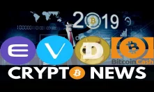 Bitcoin Recovery in 2019, Big Enjin Coin Update, BCH Delisting, VeChain, Dogecoin - Crypto News