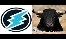 Electroneum Bullrun Now A Major Possibility ETN Developments Show Potential of Mobil Mining