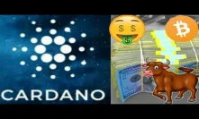 $7 Cardano Bullrun ADA Could Overtake BTC As We See Bitcoin Bulls Ready