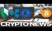 How Bakkt Affects Bitcoin Price, Litecoin LTC and Ripple XRP Updates - Crypto News