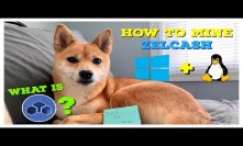 What is ZelCash? || How To Mine ZelCash on Windows + Linux (smOS)