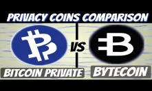Bitcoin Private vs Bytecoin (Comparison Video)